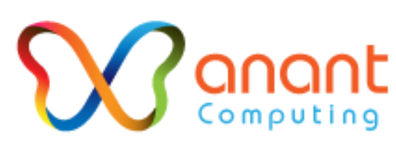 Who is the owner of Anant Computing India - Wiki and Logo