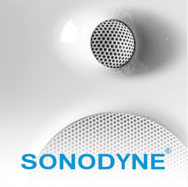 Who is the owner of Sonodyne India - Wiki and Logo