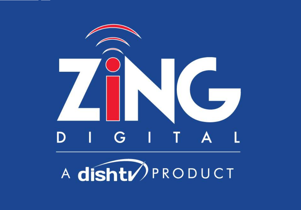 Owner of Zing Digital Wiki - Logo India