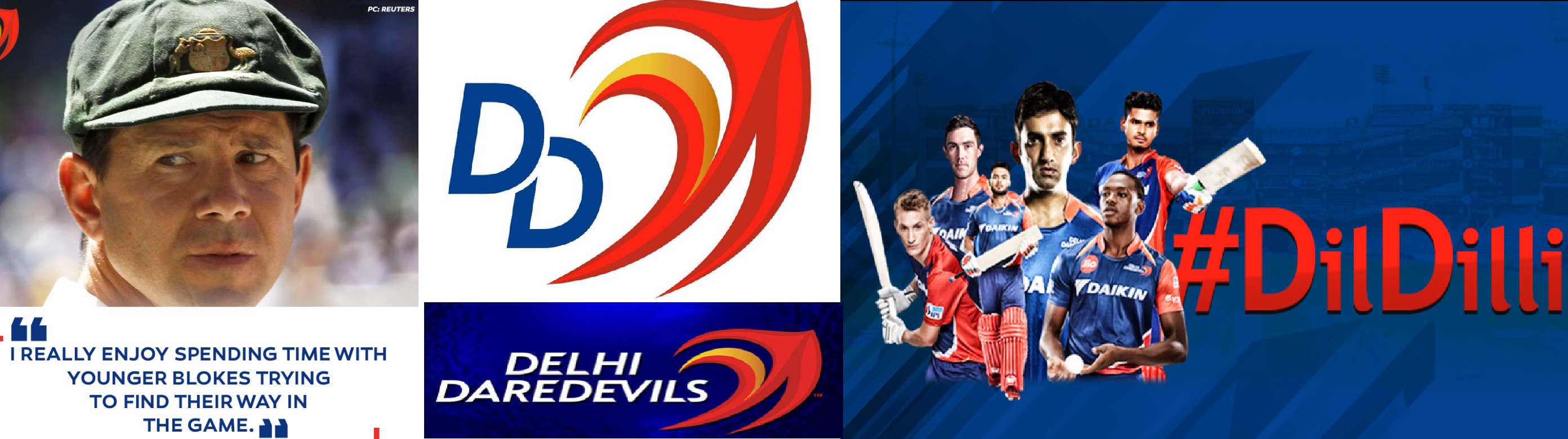 Owner of Delhi Daredevils Team India -Wiki - Logo