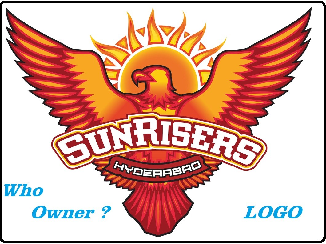 Owner of Sunrisers Hyderabad Team India -Wiki - Logo