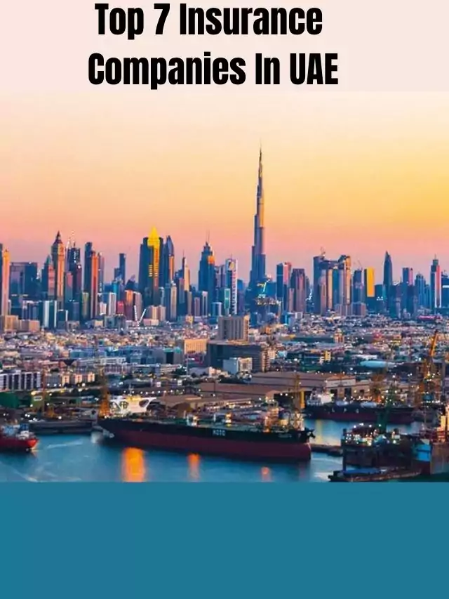 Top 7 Insurance Companies In UAE