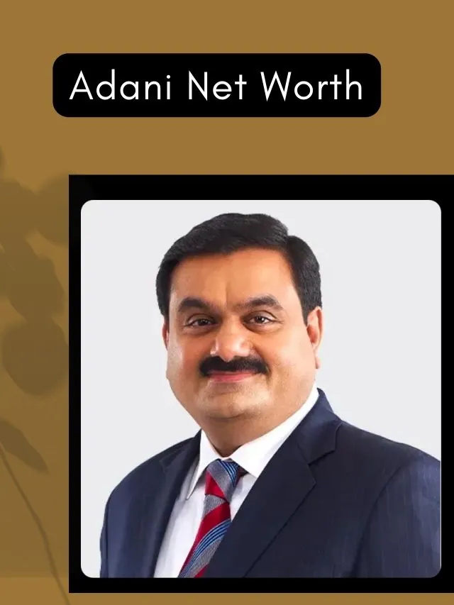Adani Net Worth