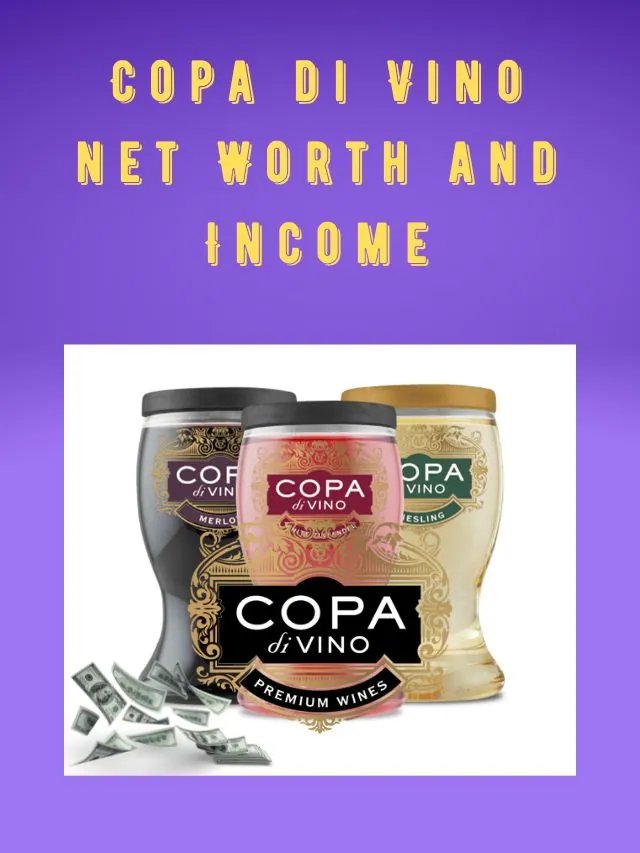 Copa di Vino net Worth and Income