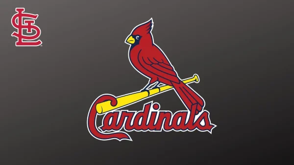 Who is the Owner of St Louis Cardinals?