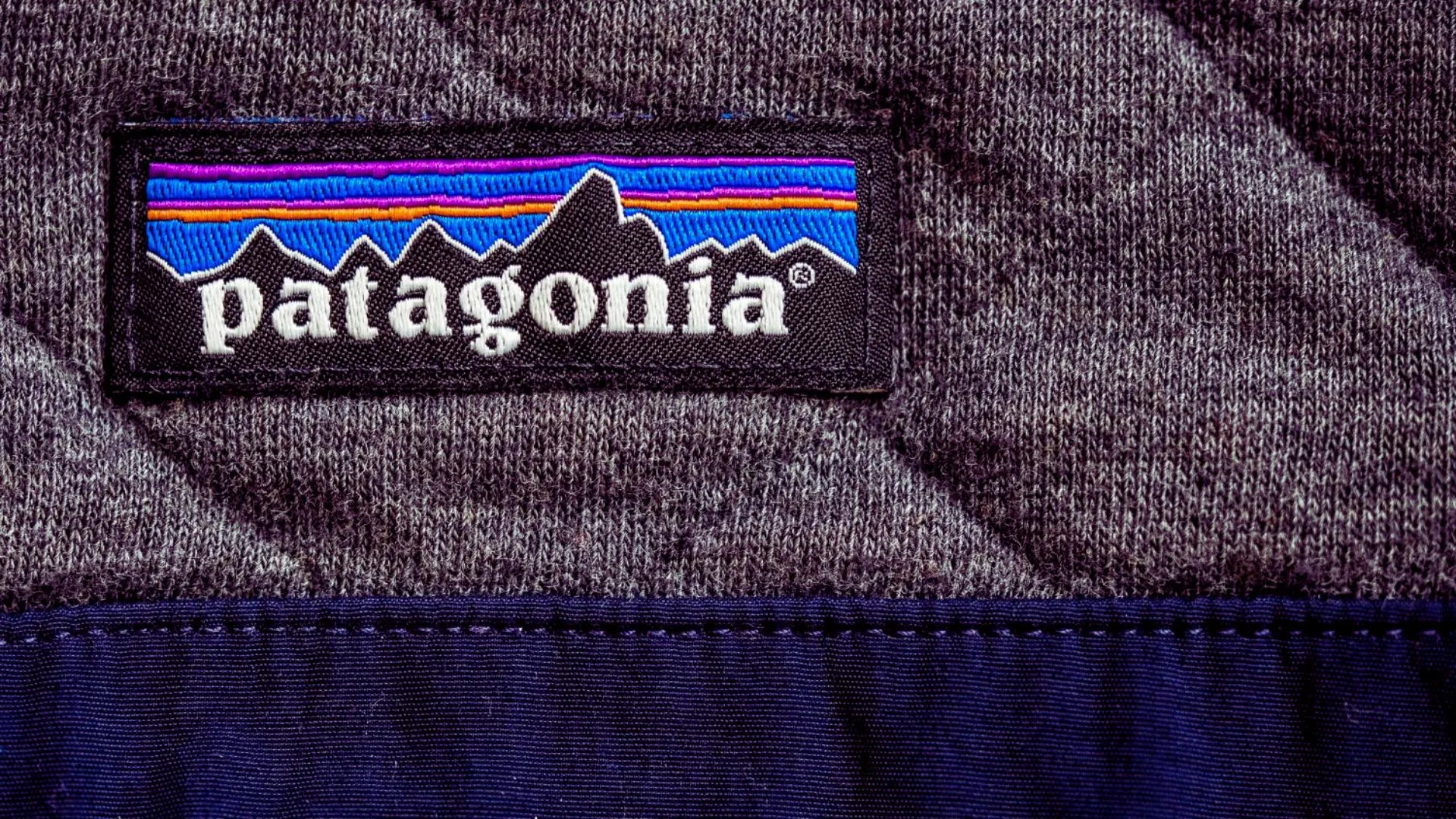 Who is the owner of Patagonia