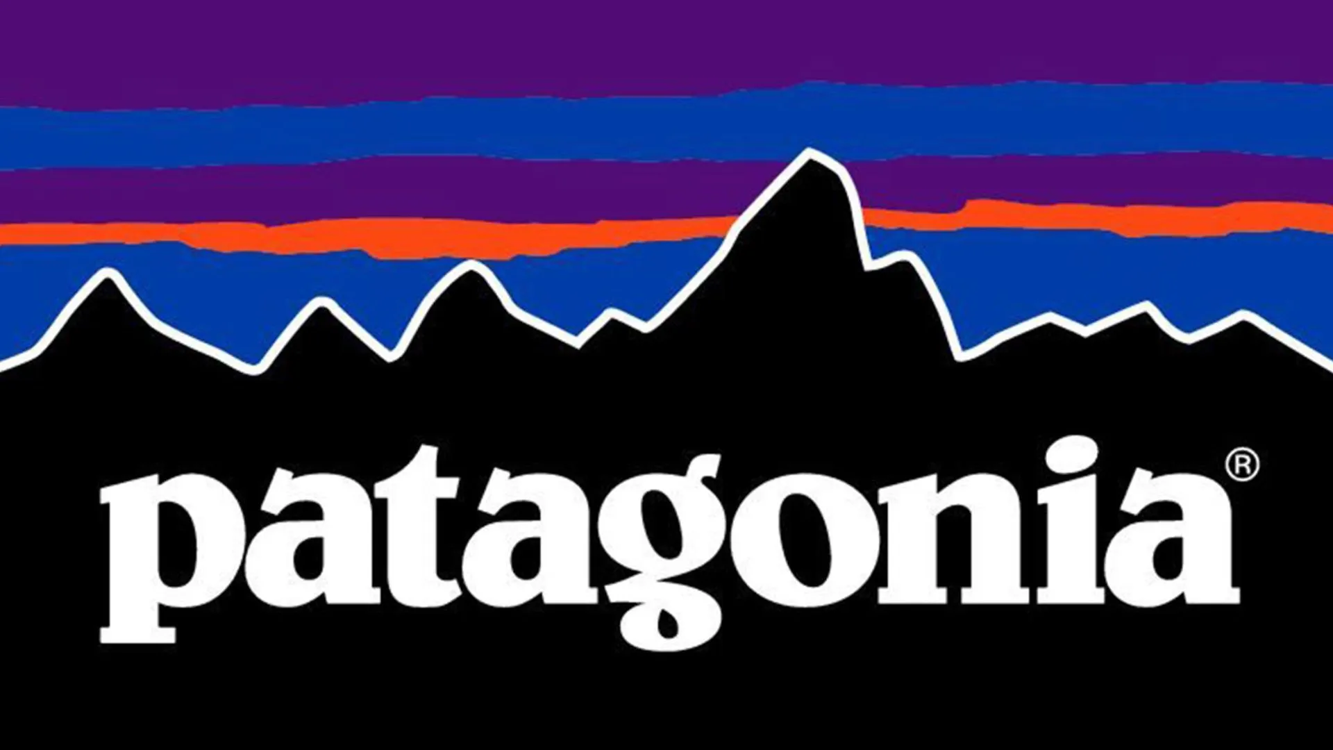 Who is the owner of Patagonia