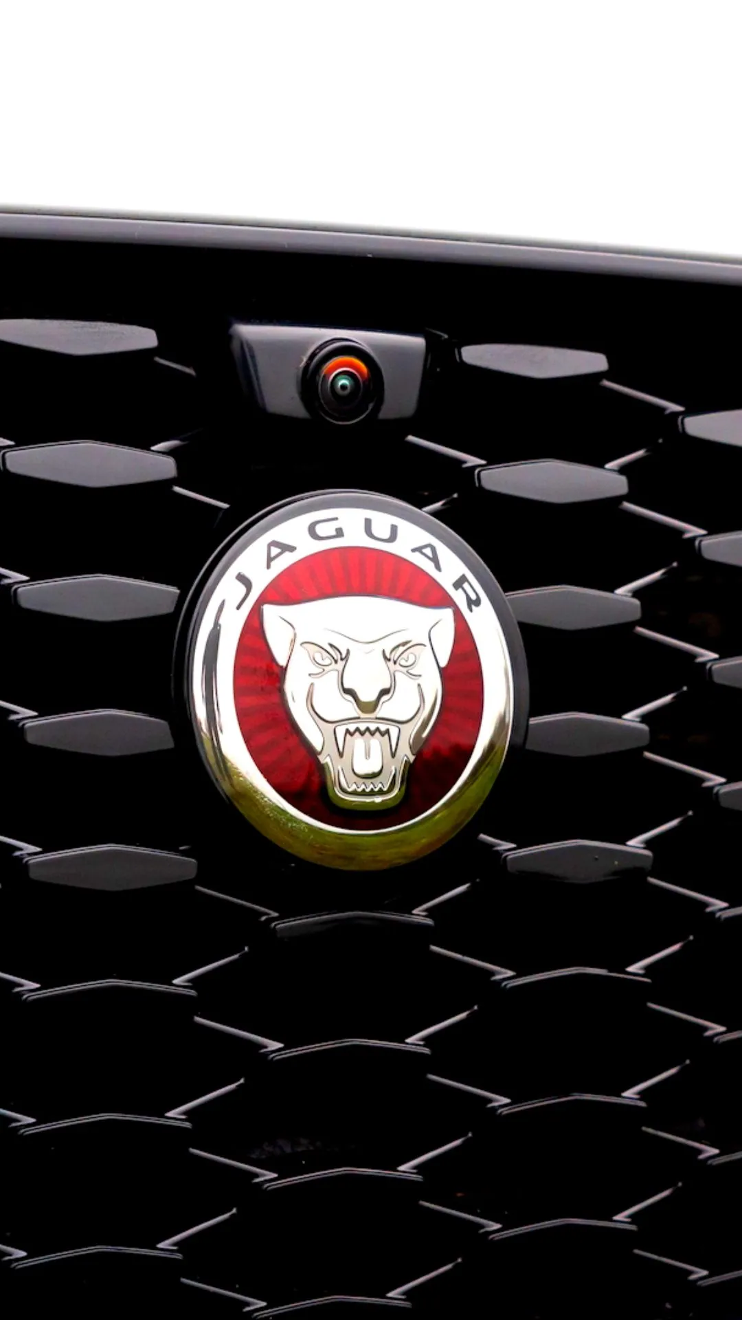 Who is the owner of Jaguar Cars (8)